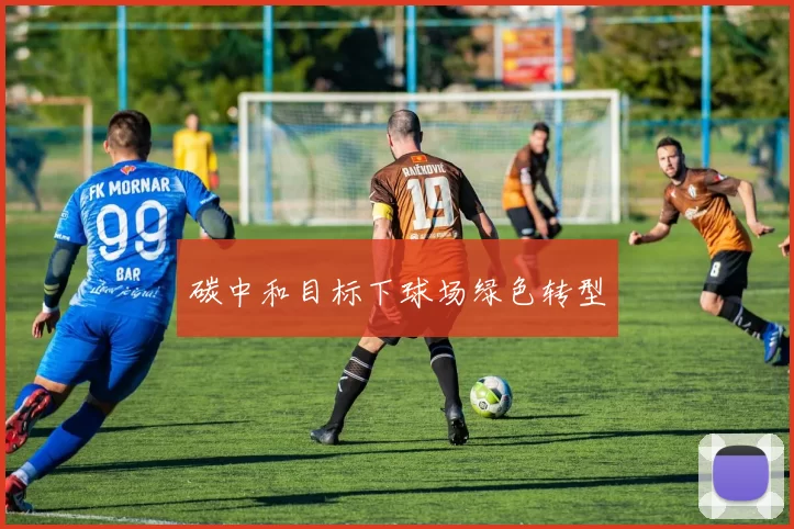 碳中和目标下球场绿色转型