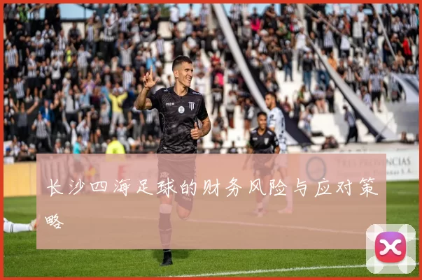 长沙四海足球的财务风险与应对策略