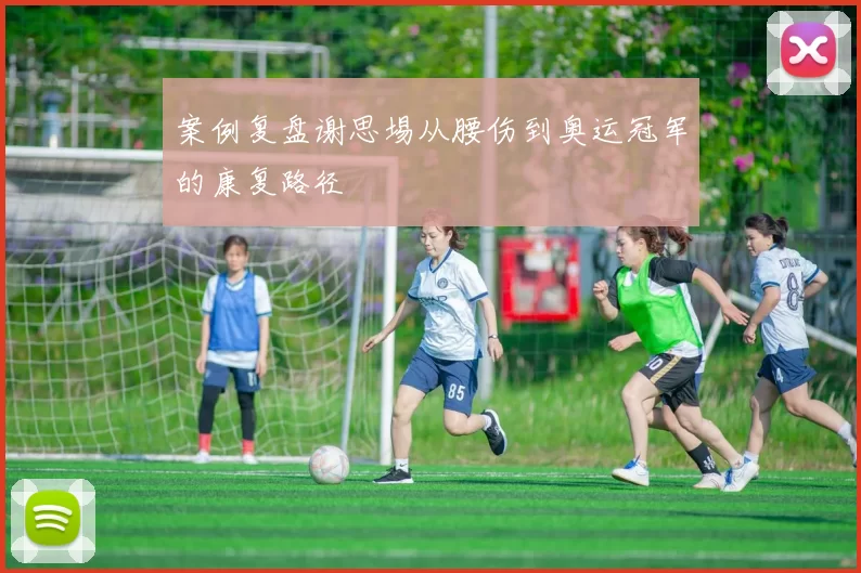 案例复盘谢思埸从腰伤到奥运冠军的康复路径